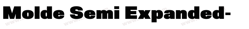Molde Semi Expanded字体转换